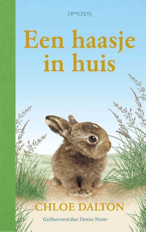 omslag Dalton kinder druk@1.indd